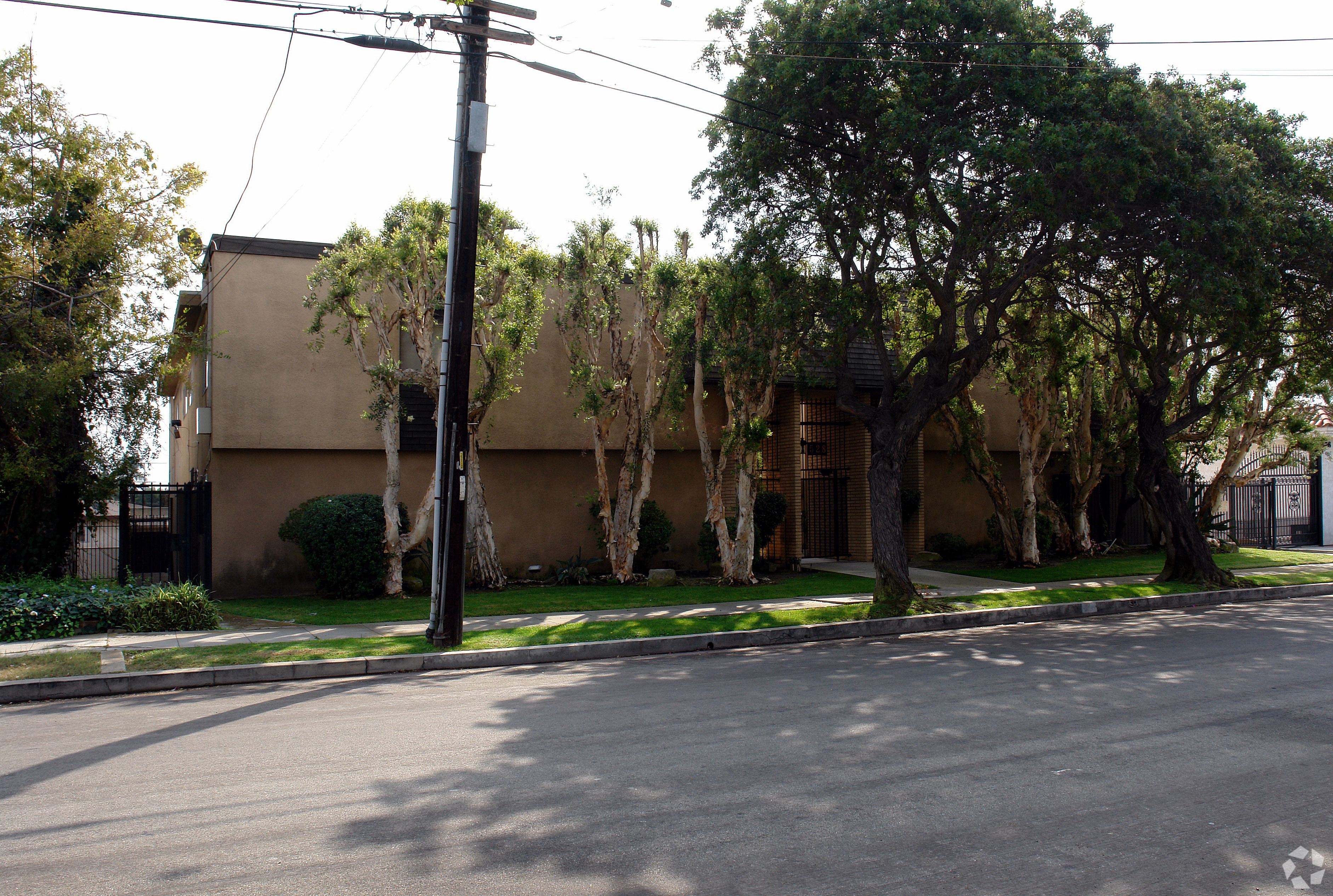 A street view with a building, trees, and a utility pole.